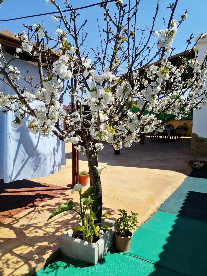 Conjunto Rural Andrea Guest House Moriles Exterior photo